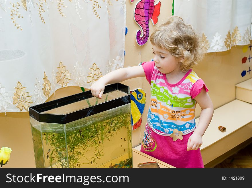 The Small assistant. The Child feeds the fish.