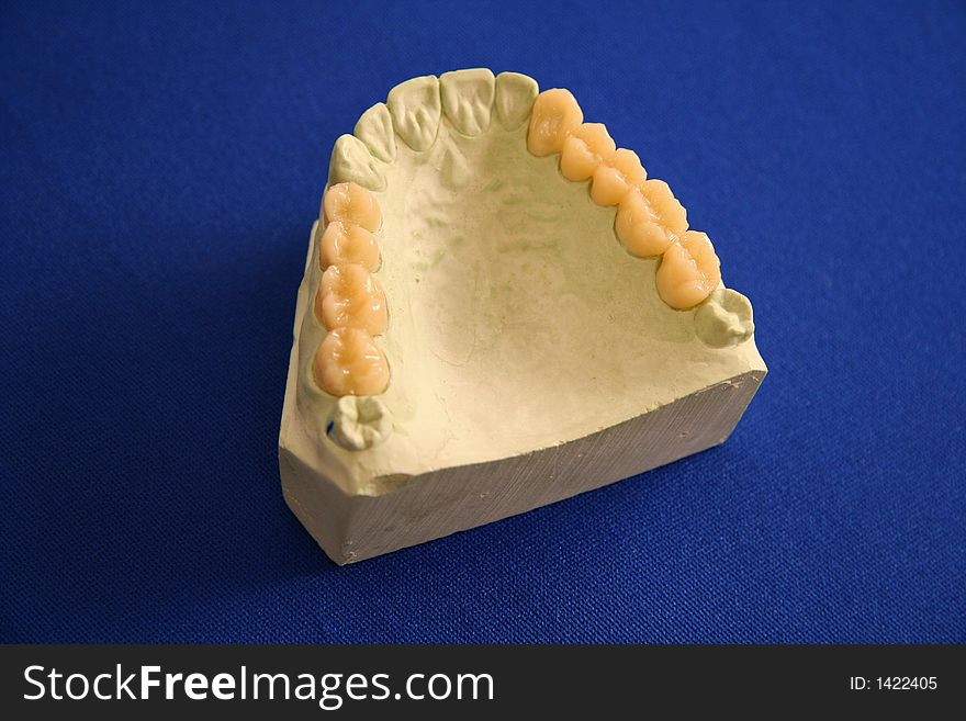 Oral Health Teeth Mold Isolated