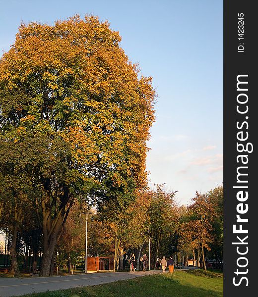 People walking in beautiful autumn day. People walking in beautiful autumn day