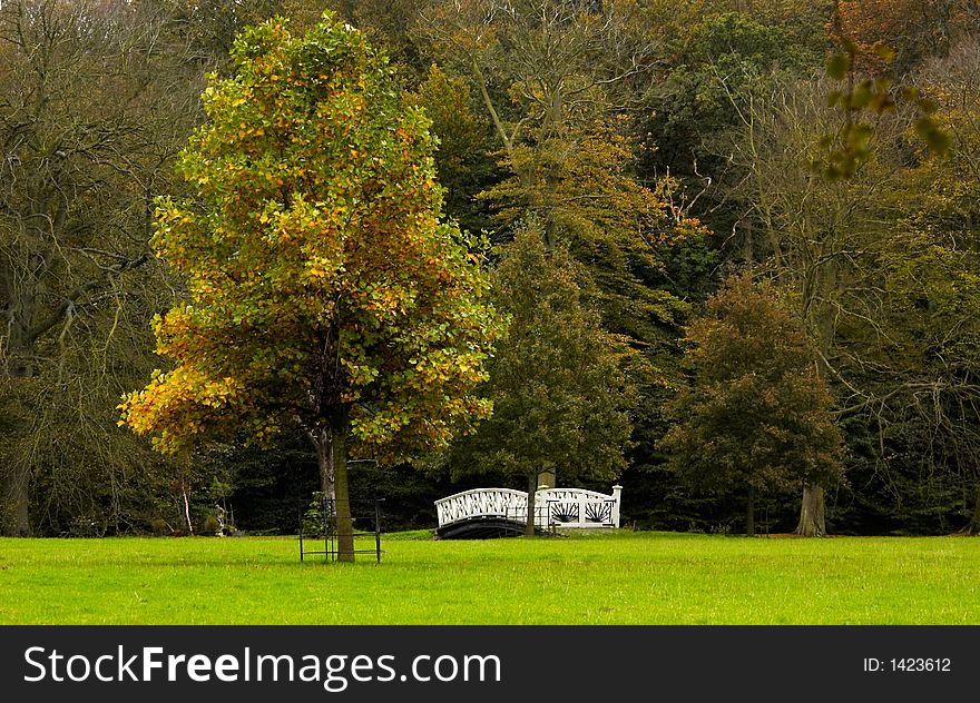 Beautiful autumn colors in the park. Beautiful autumn colors in the park