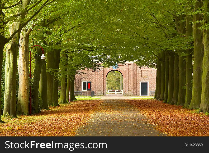 A road through the forest in fall. A road through the forest in fall