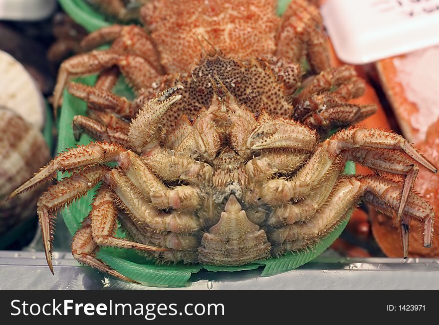 Crab Detail