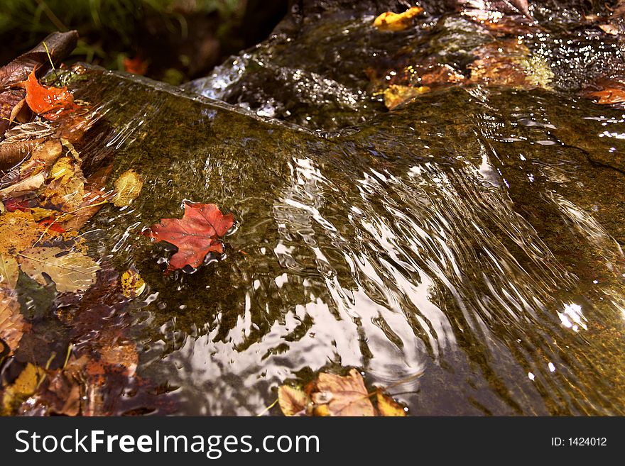Leaves in waterfall in autumn