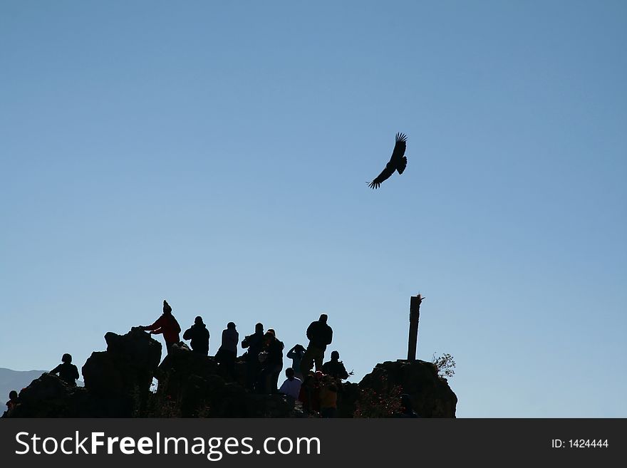 People silhouette and flying condor. People silhouette and flying condor