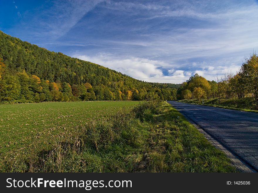 Autumn, forest near Zlotoryja town in Poland. Autumn, forest near Zlotoryja town in Poland