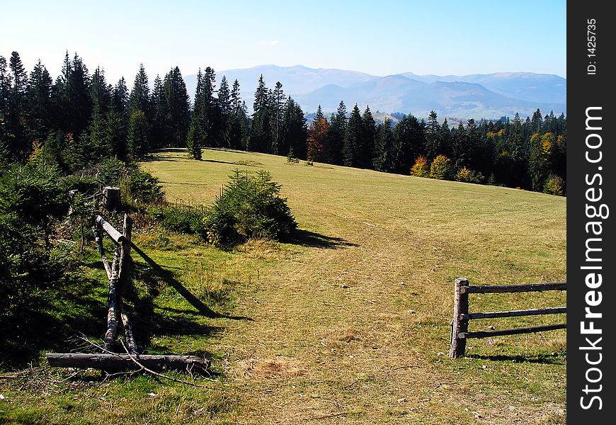 Grassland, Forest And Moutains