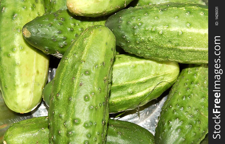 Photo of many fresh cucumbers. Photo of many fresh cucumbers