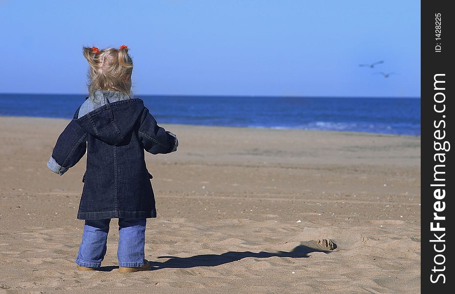 A toddler girl looks out at the ocean and seagulls on a chilly autumn day. A toddler girl looks out at the ocean and seagulls on a chilly autumn day