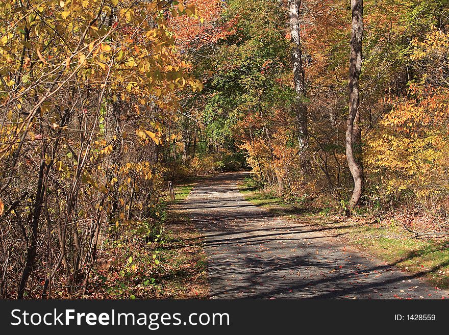 Road through Autumn forest