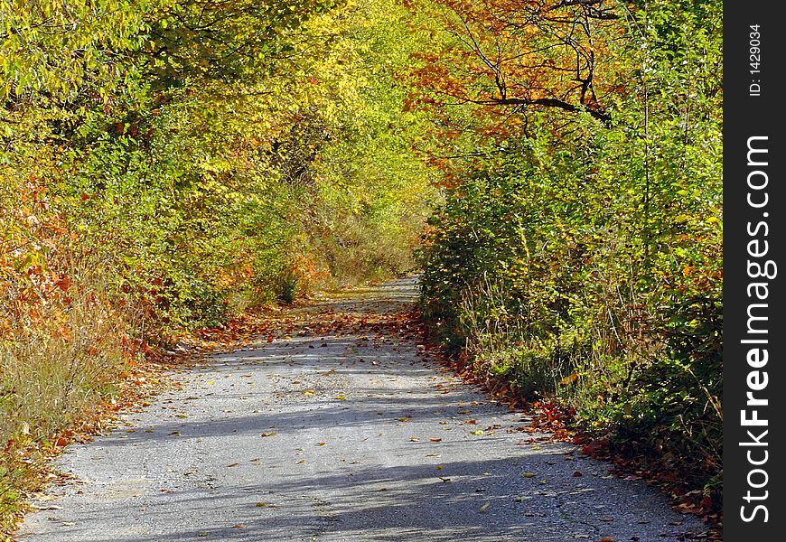 Path at sunny fall day. Path at sunny fall day