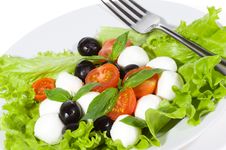 Salad With Mozzarella, Olives, Basil And Tomatoes Royalty Free Stock Photography