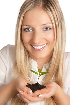Plant In Woman Hands Stock Photography