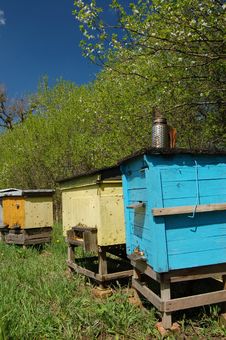 Apiary In Springtime Stock Images Apiary In Springtime Stock Images