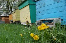 Beehives In Springtime Royalty Free Stock Photos Beehives In Springtime Royalty Free Stock Photos