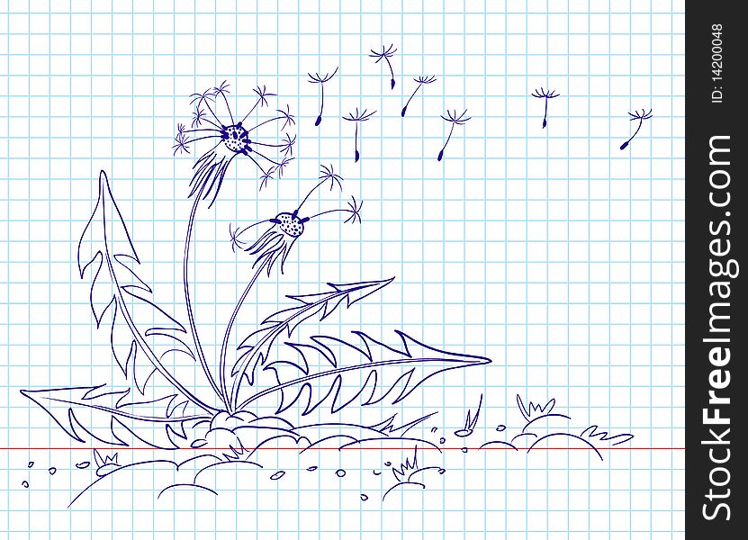 Doodle dandelion, line-art illustration