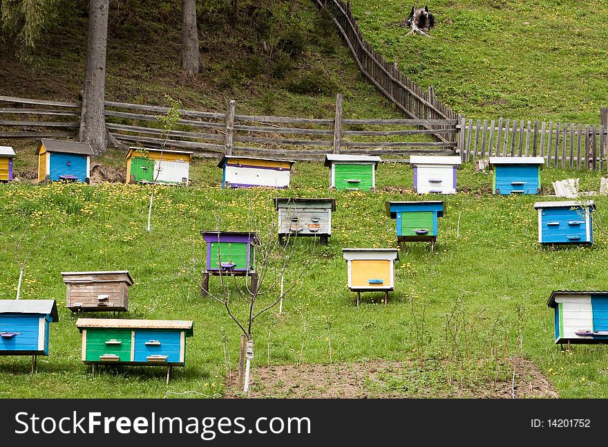 Apiary in a mountain forest