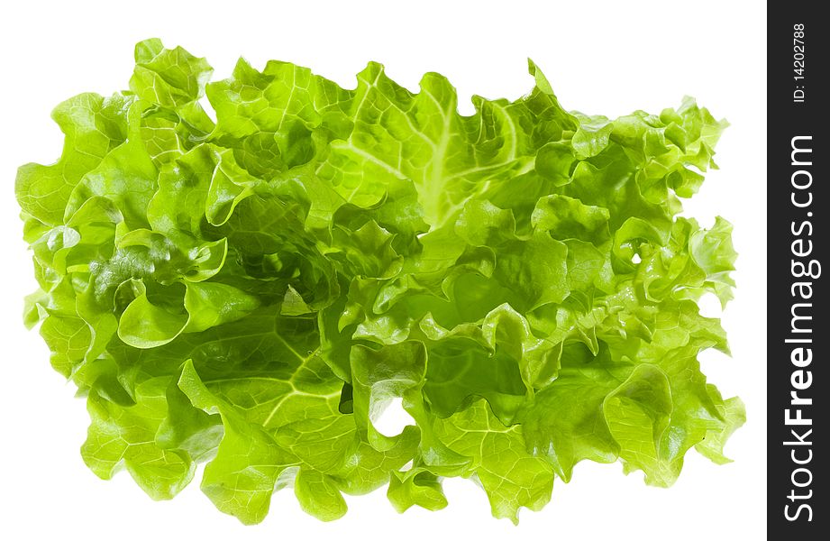 Green salad on white background