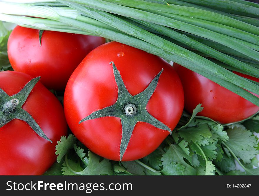 Ripe vegetables tomato,onion and herb coriander