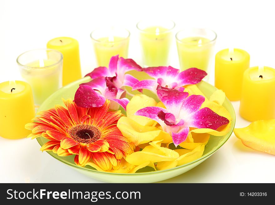 Flowers and candles on a white background