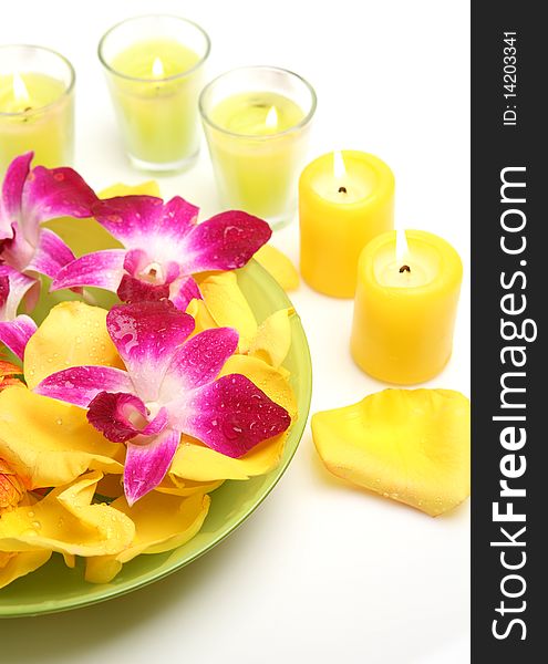 Flowers and candles on a white background