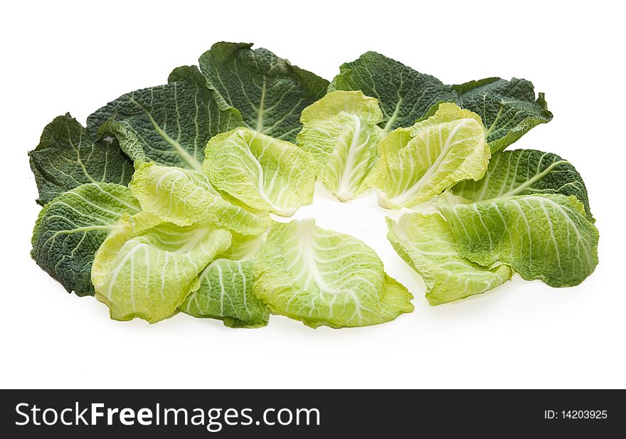 Cradle from cabbage leaves - isolated on white