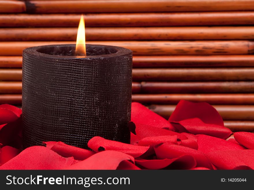 Candle surrounded with red rose petals. Candle surrounded with red rose petals