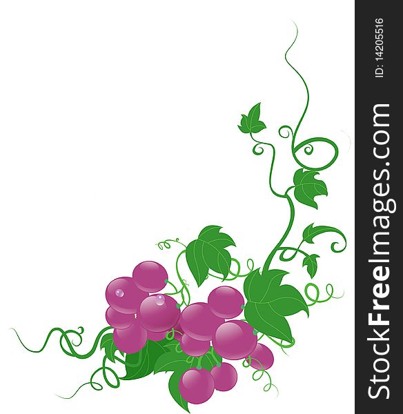 Perfect background for wine or healthy theme. Perfect background for wine or healthy theme