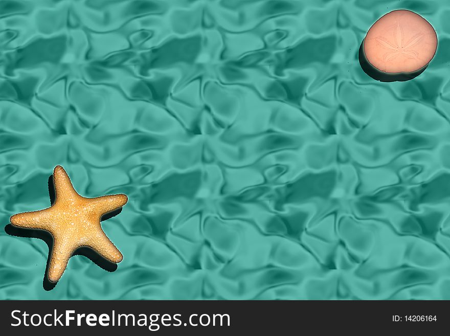 A water like background and a starfish in the lower left corner and a sanddollar in the upper right corner. A water like background and a starfish in the lower left corner and a sanddollar in the upper right corner.