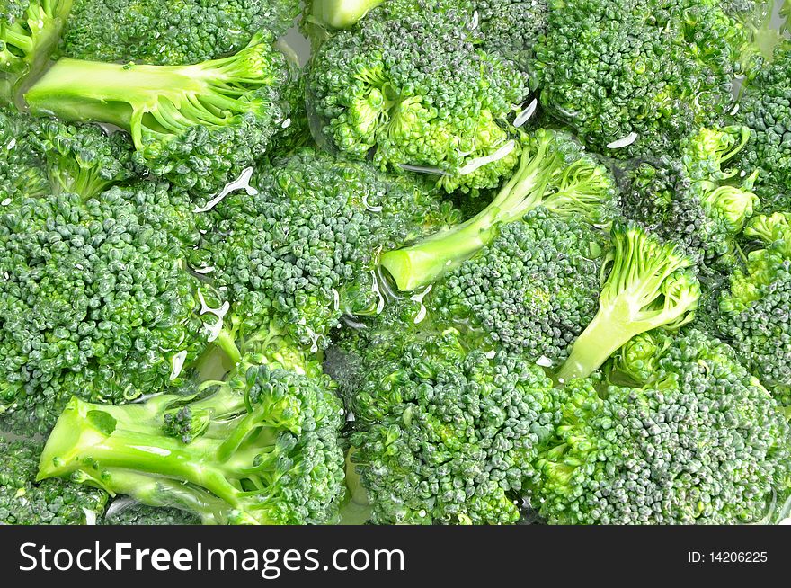 Close up nature broccoli background
