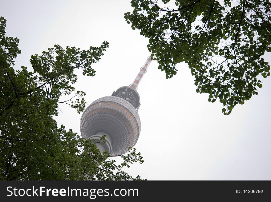 Berlin landmark and tree, simbols of the city. Berlin landmark and tree, simbols of the city