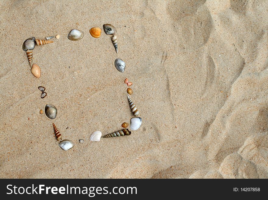 Picture of seashells decoration on sand background frame. Picture of seashells decoration on sand background frame