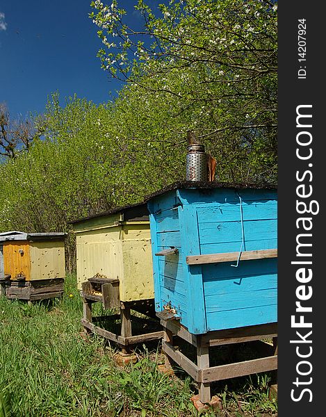 A few beehives and flying bees somewhere in Poland. A few beehives and flying bees somewhere in Poland