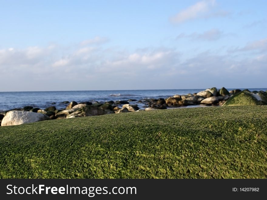 Boulder covered with algae at rocky coast of Latvia. Boulder covered with algae at rocky coast of Latvia