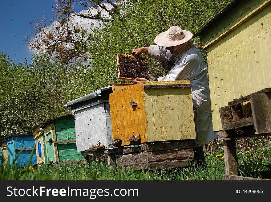 Beekeeper