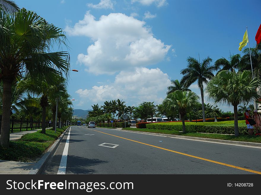 A beautiful green on both sides of the highway road