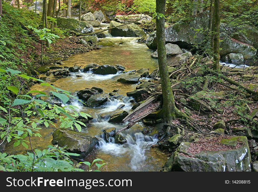 A quiet stream in the woods cascades over rocks. A quiet stream in the woods cascades over rocks