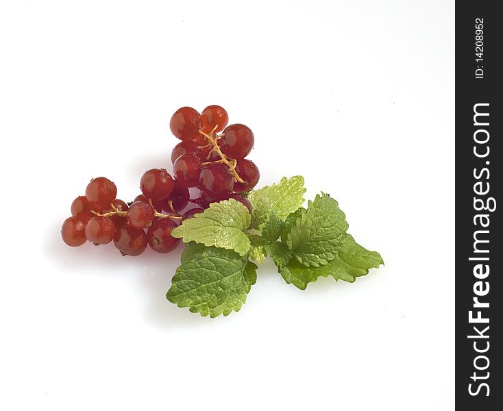 Currant grapes and mint leaves on a white background. Currant grapes and mint leaves on a white background