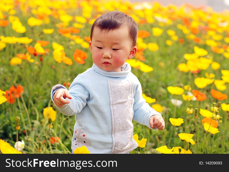 Cute baby boy in flower field