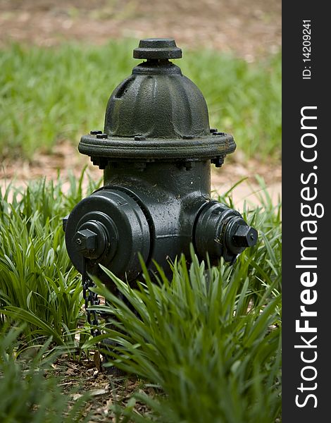 Dark green fire hydrant in grass