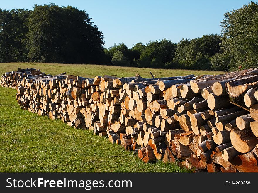 A lot of wooden stumps laying on a green field