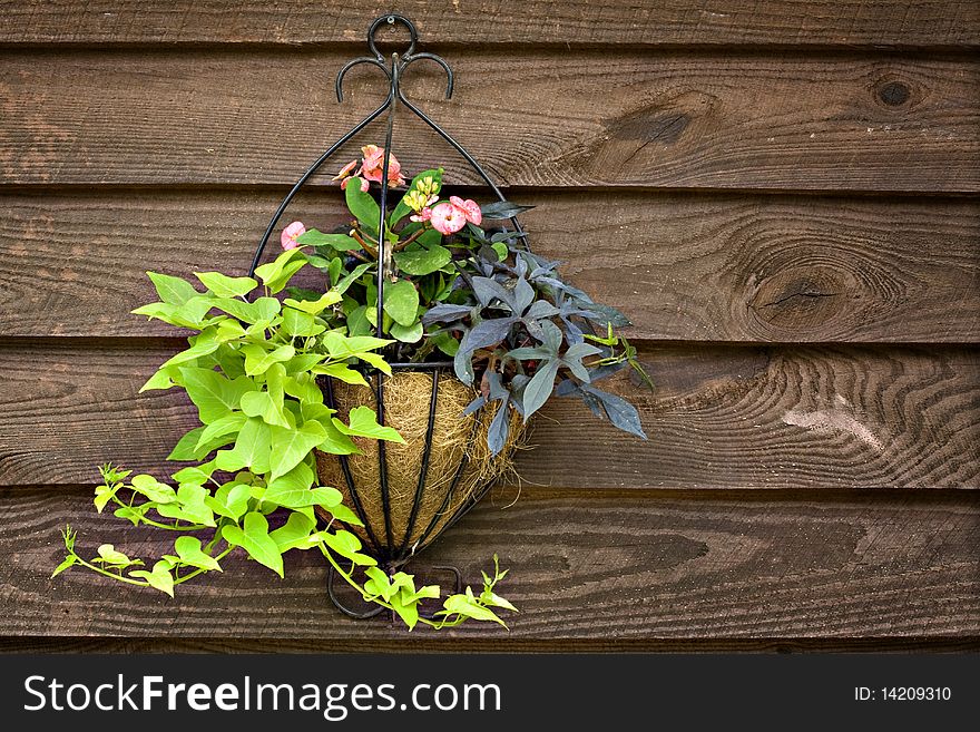 Hanging flower arrangement on rustic wood background. Hanging flower arrangement on rustic wood background