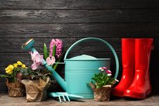 Composition With Plants And Gardening Tools On Table Royalty Free Stock Photos