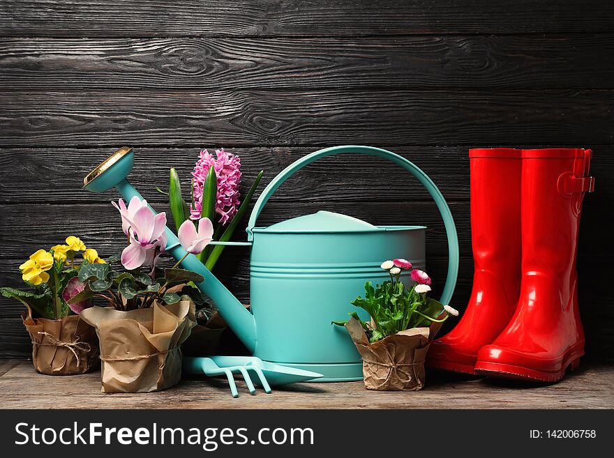 Composition with plants and gardening tools on table against wooden background