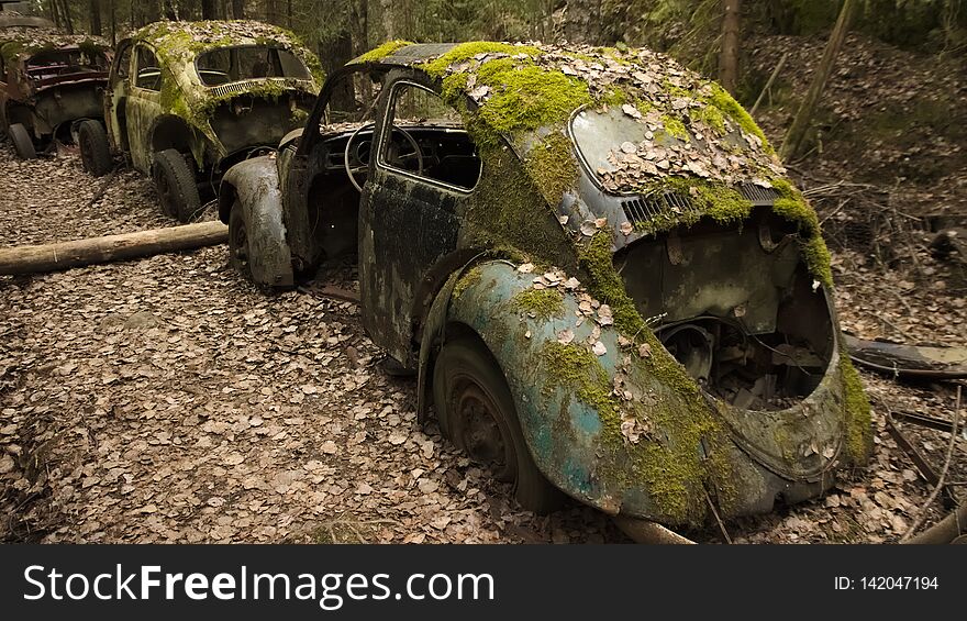 Vintage cars in scrapyard in Swedish forest.