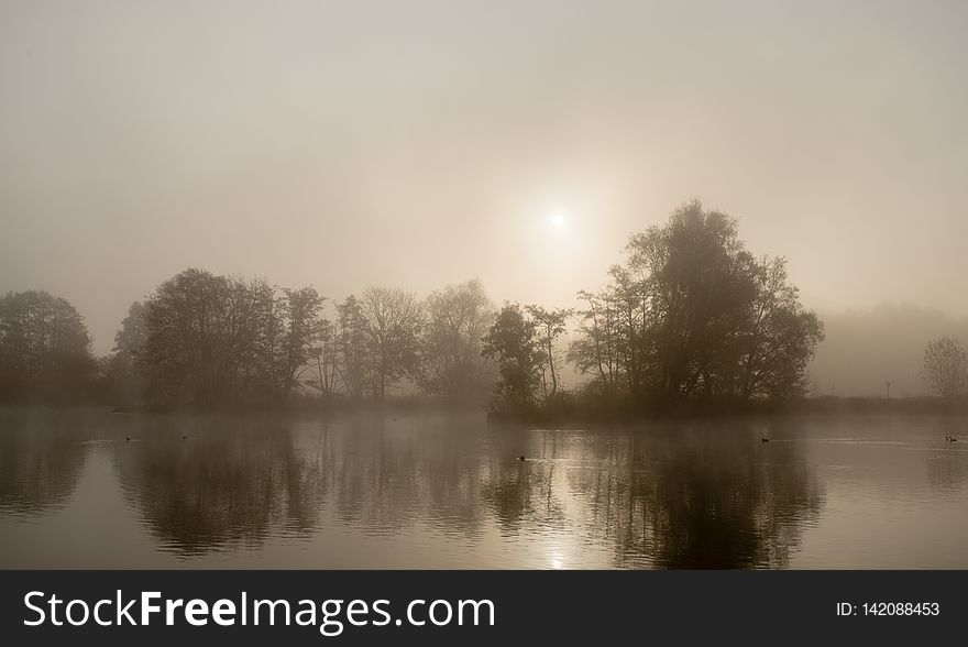 Autumn Morning