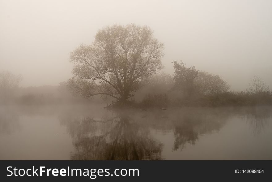 another photo from the &#x22;misty morning&#x22; series.