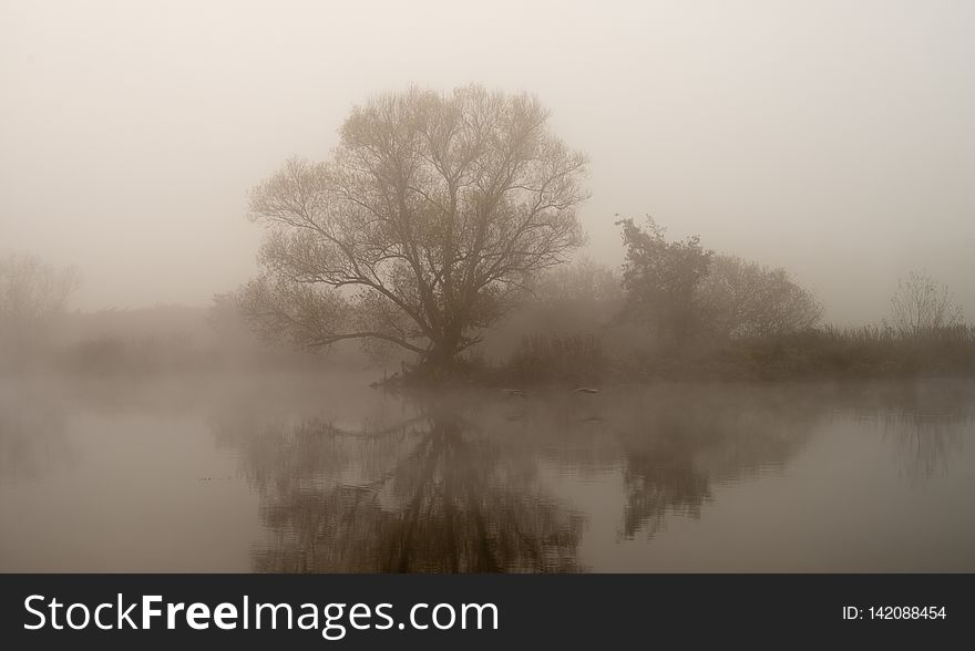 Misty Morning