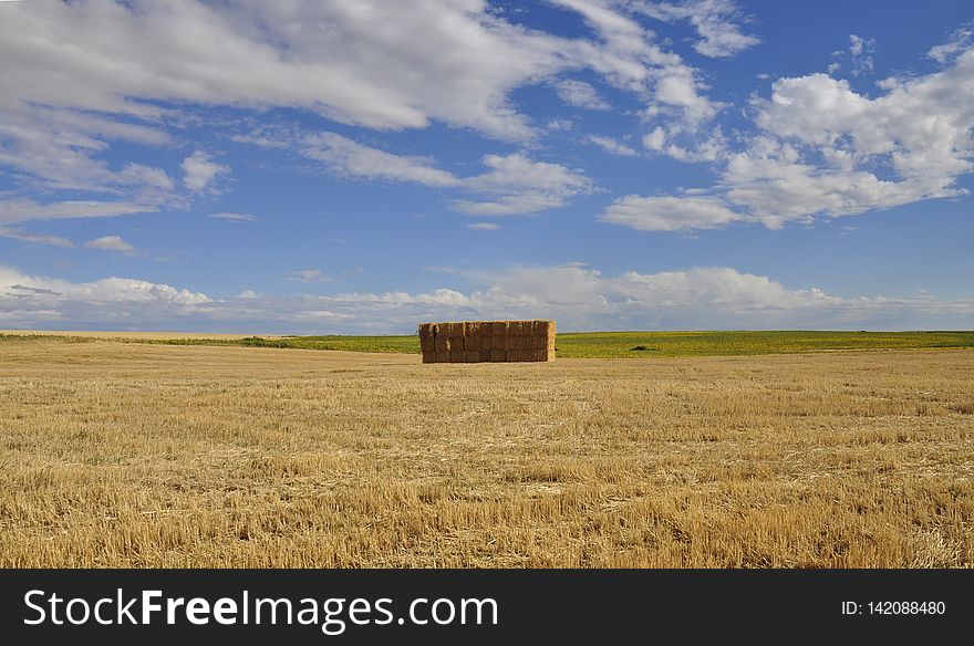 paisaje rural