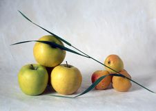 Apples Stock Images