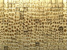 Snake Skin Stock Photos Snake Skin Stock Photos